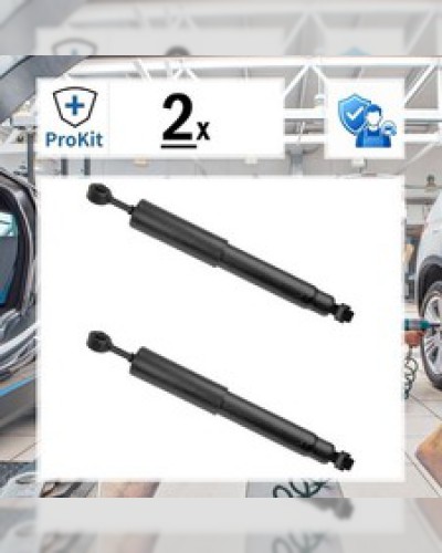 2x Sachs 315 664 shock absorber, rear damper for Citroën 2 CV Dyane Méhari
